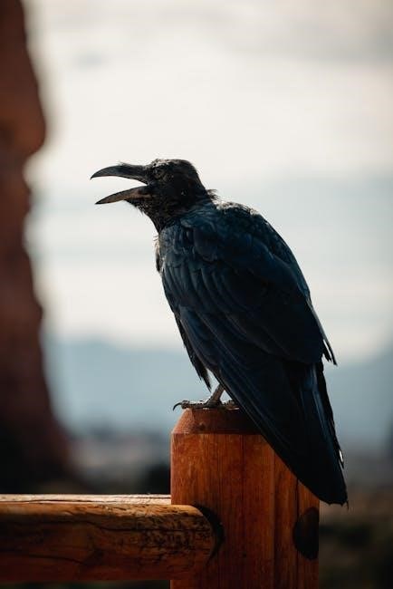 antelope canyon self guided tour